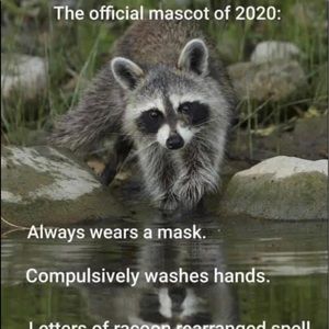 Meet your Posher, San